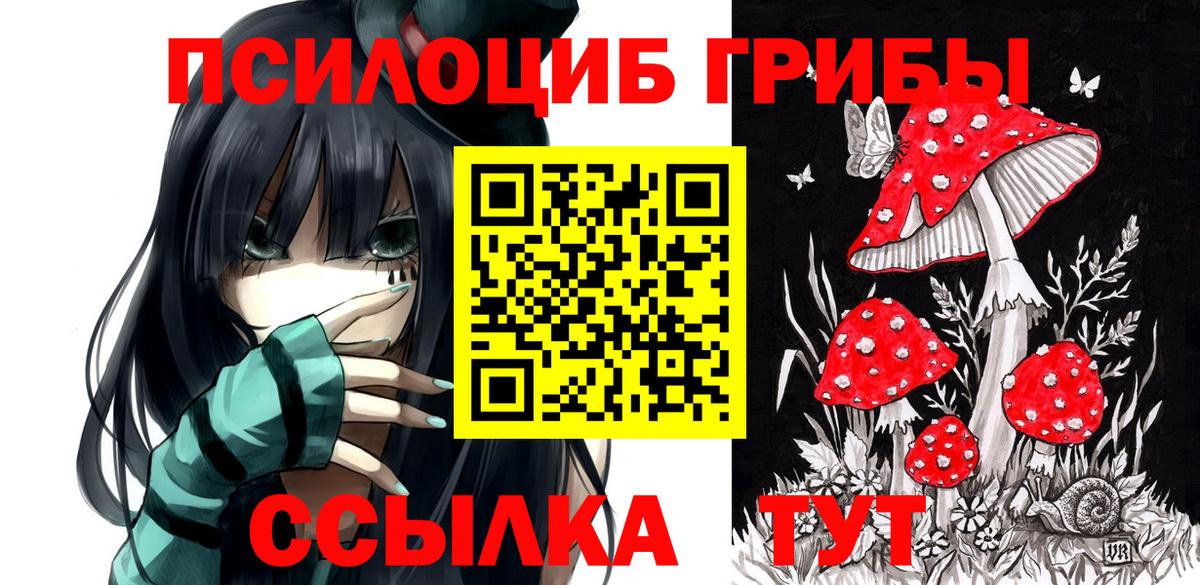 Псилоцибиновые грибы Psilocybe  Псилоцибиновые грибы мицелий  Вход с VPN  закладки  Юрга 